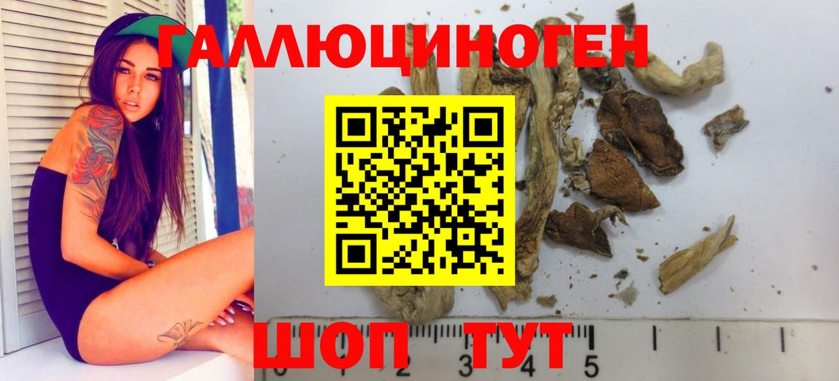 Галлюциногенные грибы MAGIC MUSHROOMS Обь