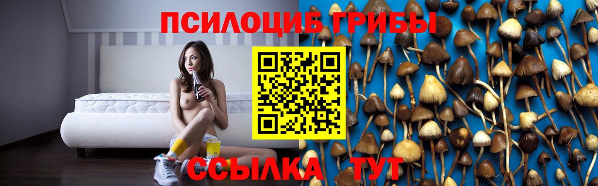 Галлюциногенные грибы Cubensis  Псилоцибиновые грибы MAGIC MUSHROOMS  наркотики  Обь  Вход с VPN 